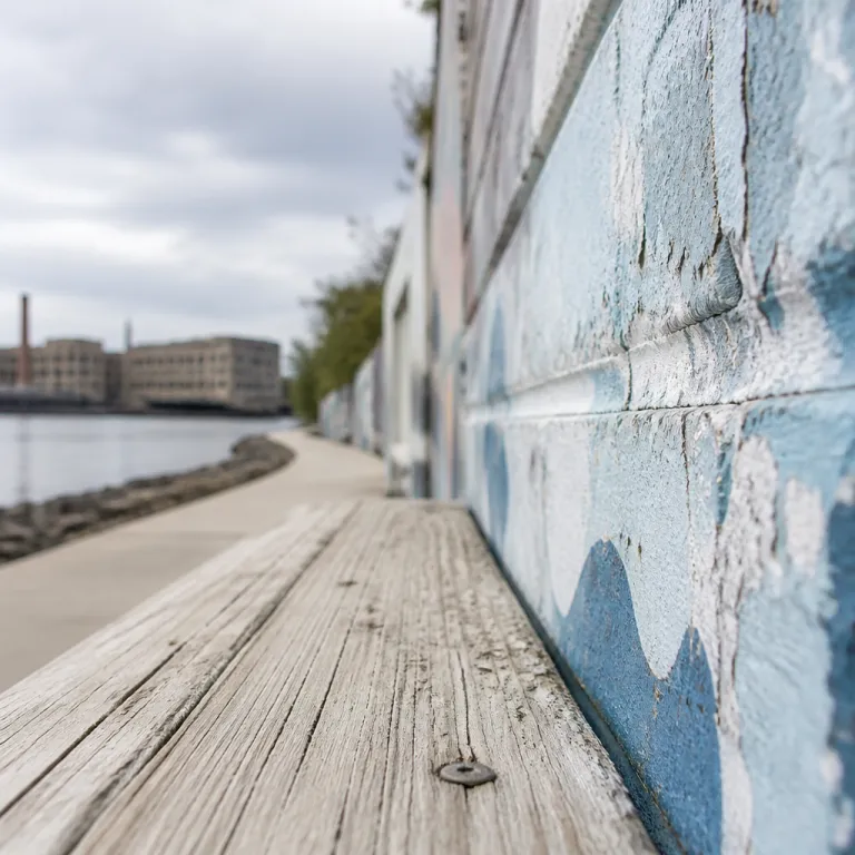 Teneriffe Wool Stores to West End Murals: Brisbane's Creative Suburbs on Foot
